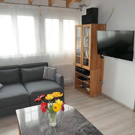 Bodensee Loge رادولفزيل ام بوندنز المظهر الخارجي الصورة